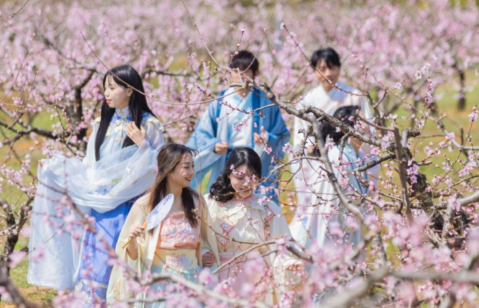 盡享春日芳華