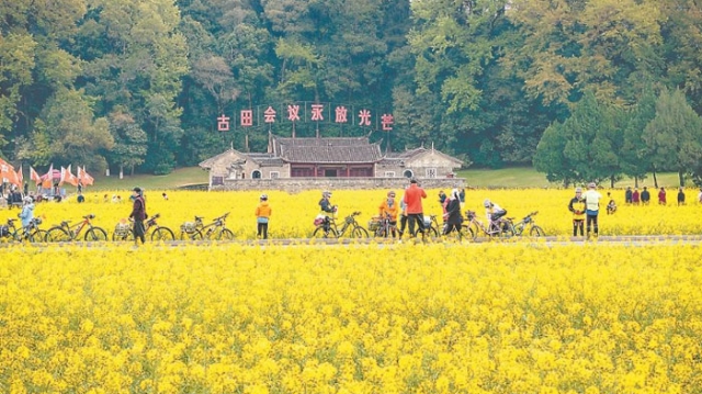 上杭縣古田鎮(zhèn)千畝油菜花迎春盛放