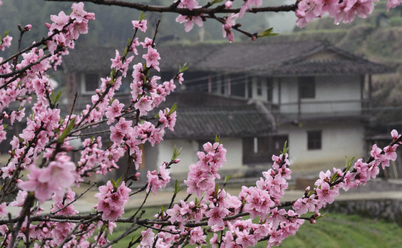 福建獲批建設(shè)全國首個(gè)生態(tài)文明先行示范區(qū)