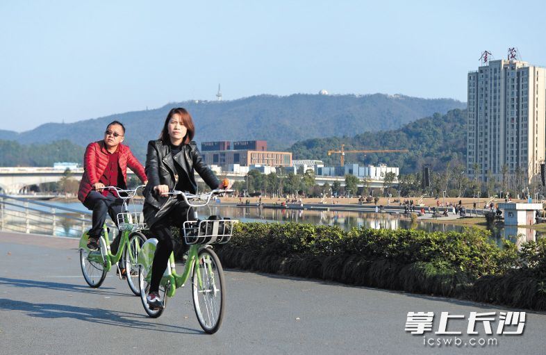 梅溪湖畔，市民們騎著共享單車賞景。長沙晚報(bào)記者 鄒麟 攝
