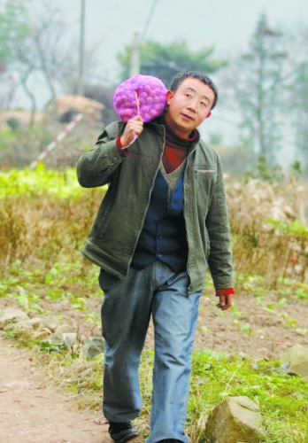 張義波行走在家鄉(xiāng)熟悉的田埂上。 