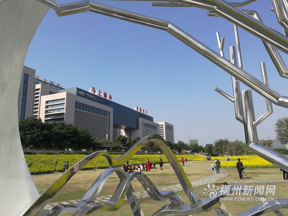 “福州藍(lán)”下，福州公園成金色花海