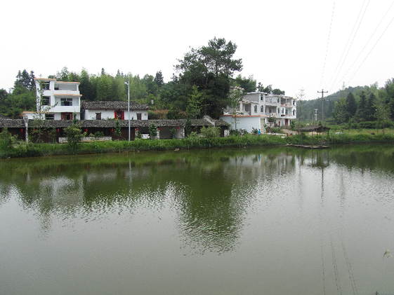 南坑村村容整潔，環(huán)境優(yōu)美。