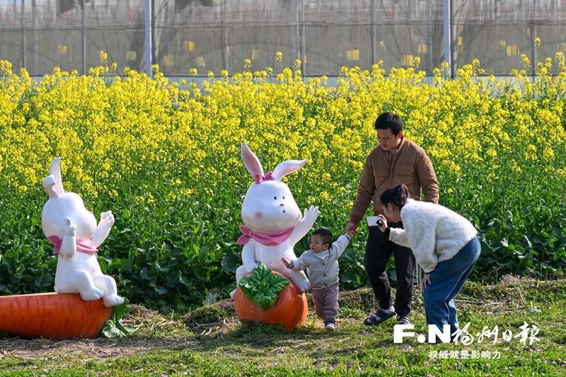 福州百花盛開，“賞花經(jīng)濟(jì)”如何持久綻放？